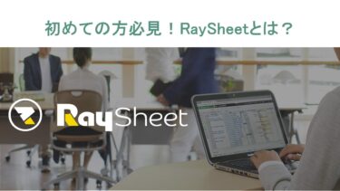 【初めての方必見！】SalesforceをExcelのように使えるRaySheetとは？